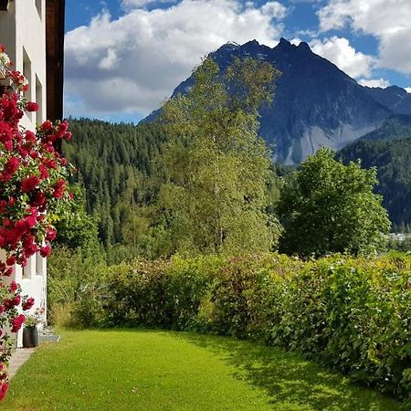 Appartement Melcher Sotcha Dadaint 654 Scuol Eksteriør billede